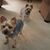 Mary Chafin's profile image