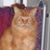 Marialyce Lavelle's profile image