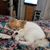 Barbara Therrien's profile image