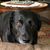 Darlene Schmahl Becker's profile image