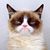 Christy Rusch's profile image