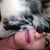 Norma Kunkle's profile image