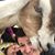 Deanna Doohaluk's profile image