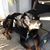 Bethel Adams Edens's profile image