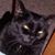 Sharon Stroud Broussard's profile image