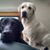 Teresa Scarlata Werner's profile image