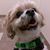 Sophia Jj Johnson's profile image