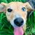 Jacki Clifford's profile image