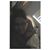 Mary Rose's profile image