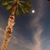 Shelly Dockter's profile image