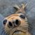 Denise Matthews's profile image