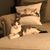 Donna Boggs's profile image