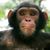 Mark Biasi's profile image