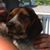 Paul Biland Sr.'s profile image