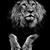 Harr Steph's profile image