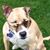 Roxy Salvar's profile image