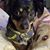 Wendy Hackman's profile image
