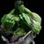 Andrew Rudolf's profile image