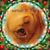 Lori Hurst-Houdyshell's profile image