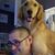 Mitchell Geissler's profile image