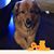Barbara A. Mattera's profile image