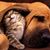 Tracy Carter's profile image