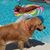 Duane Rayne's profile image