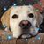 Susan Landon Greenham's profile image