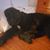 Charlie Ridgecrest's profile image
