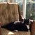 Nancy Savignac's profile image