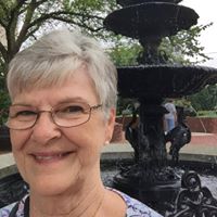 Susan Ping Ristenpart's profile image
