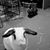 Janet Szeto's profile image