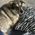 Ronald Holcomb's profile image