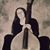 Andrea C Friedrichsen's profile image