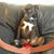 Linda Rapp's profile image