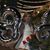 Delia Rivera's profile image