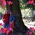 Kim Suber Epting's profile image