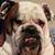 Mandy Thompson Thomas's profile image