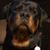Bonnie Uplinger's profile image
