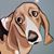 Zharick Poma's profile image