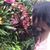 Alicia Bryan's profile image