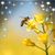 Tim N Robyn Garland's profile image