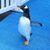 Kathy Siterlet's profile image