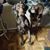 Kevin Tuttle's profile image