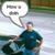 Steve Kanicsar's profile image