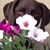 Sherry Mansfield Preston's profile image