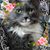 Janice Gural Forrestal's profile image