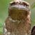 Dave Stechschulte's profile image