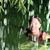 Linda Klee's profile image