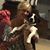 Allison Rebecca King's profile image